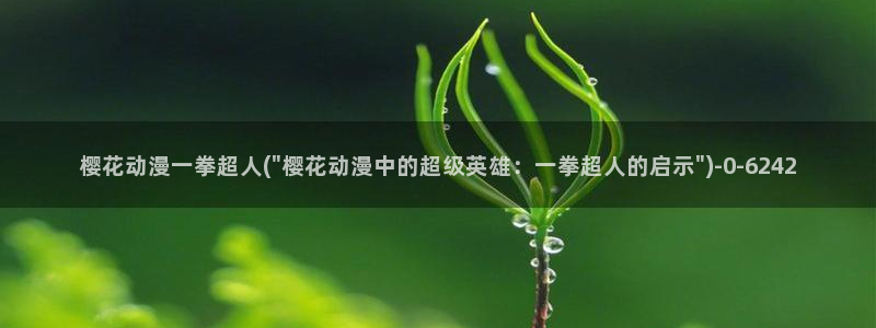 樱花视频.：樱花动漫一拳超人(\