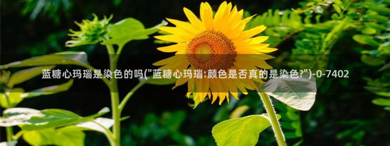 糖心vlog号：蓝糖心玛瑙是染色的吗(\