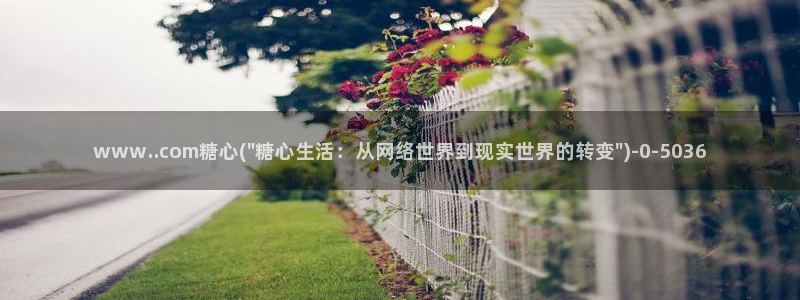 糖心vlog在线观看星辰