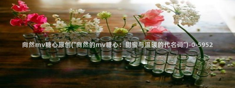 糖心vlog产精国免费入口