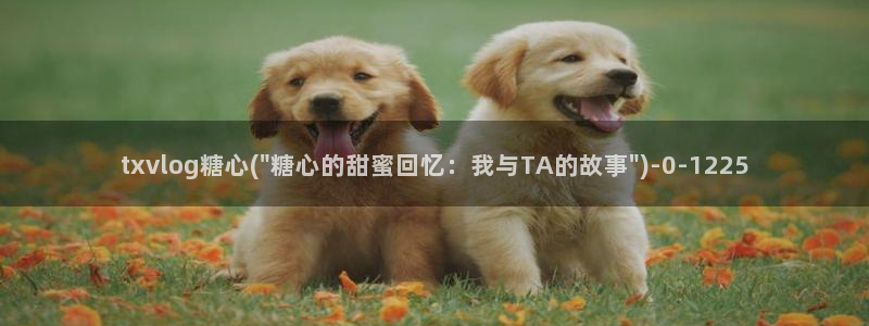 心糖vlog在线观看