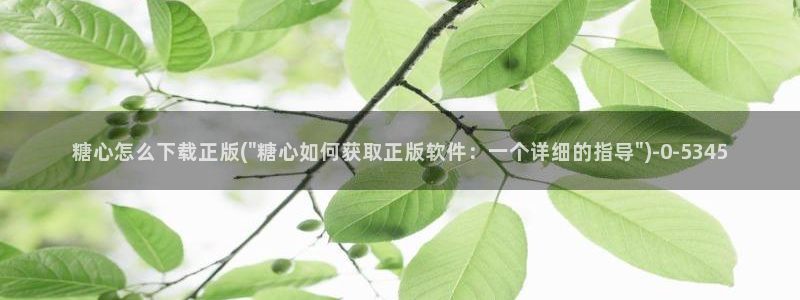 糖心vlog破解版app