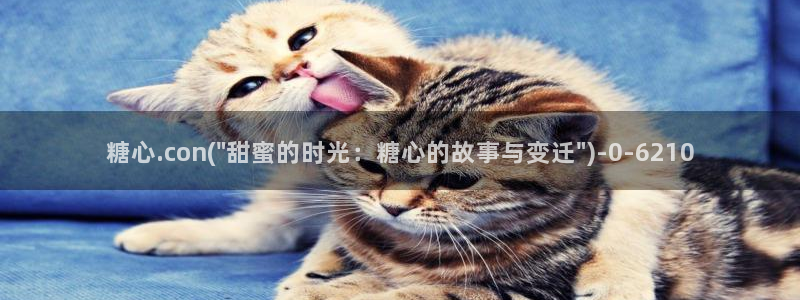 糖心vlog免费破解版