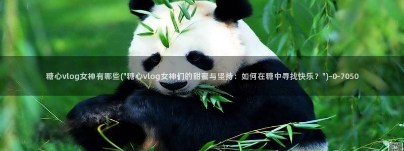 糖心视频vlog