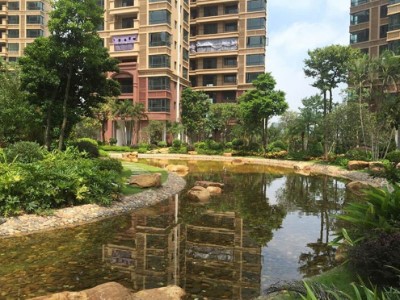 美食探店VLOG文章介绍